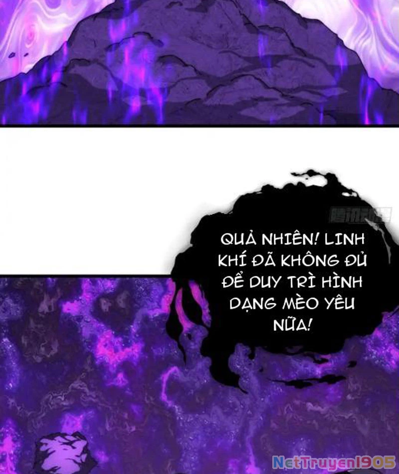Ta dựa vào tu tiên xưng bá tận thế Chapter 14 - Trang 9