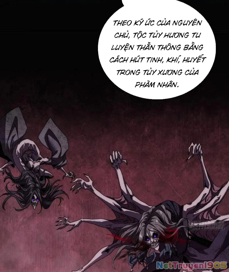 Ta dựa vào tu tiên xưng bá tận thế Chapter 15 - Trang 8