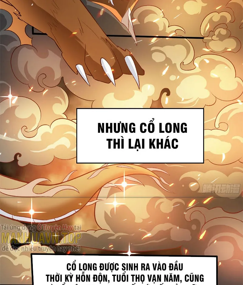 Ta Là Chí Tôn Đại Phản Phái Chapter 4 - Trang 46