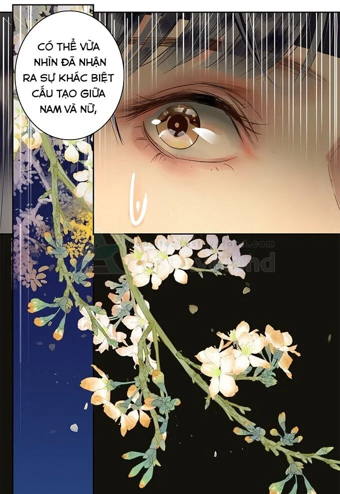 Ta Làm Lớn Ở Hậu Cung 2 Chapter 27 - Trang 9