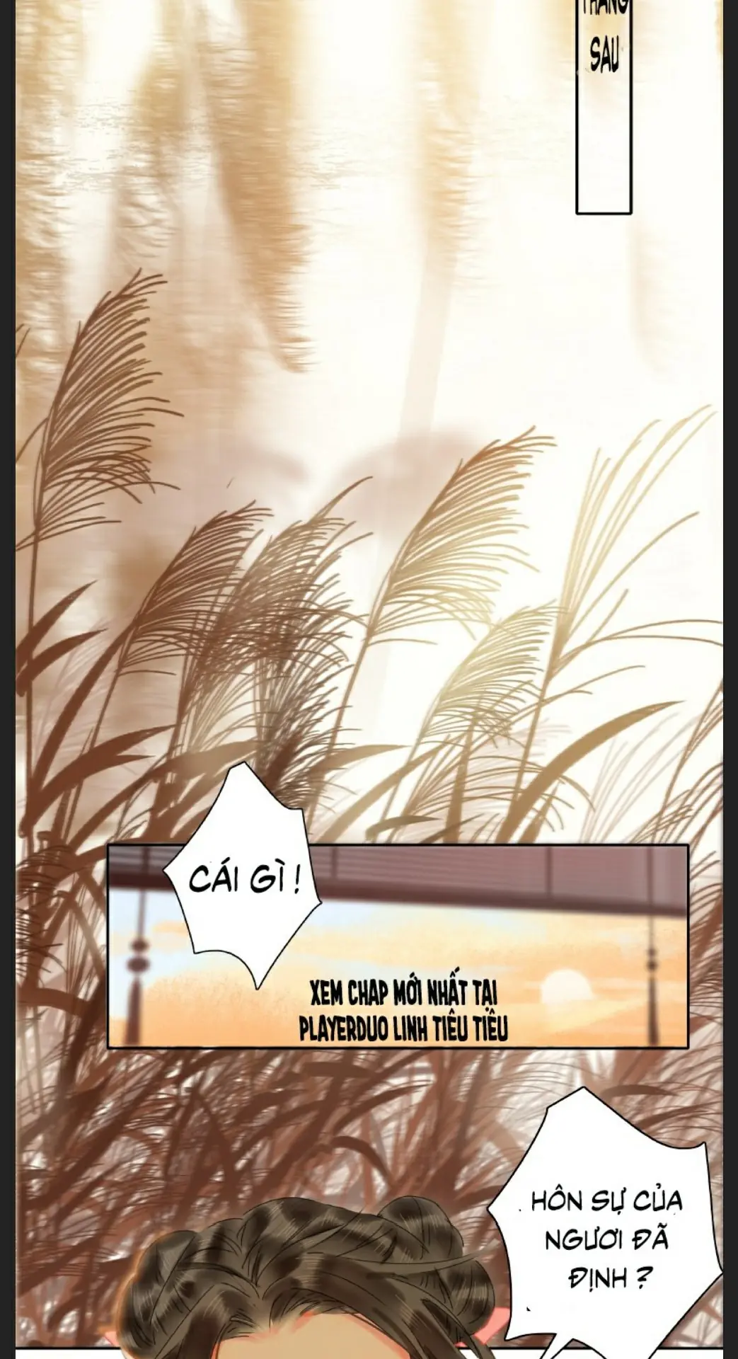 Ta Làm Lớn Ở Hậu Cung 2 Chapter 3 - Trang 3