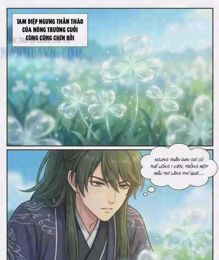 Ta Mở Nông Trường Ở Tiên Giới Chapter 15 - Trang 2