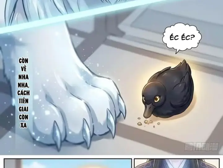 Ta Mở Nông Trường Ở Tiên Giới Chapter 18 - Trang 17