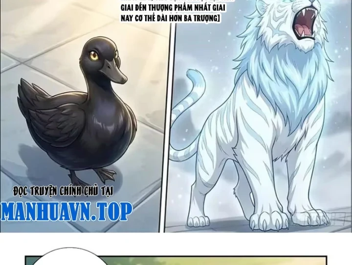 Ta Mở Nông Trường Ở Tiên Giới Chapter 21 - Trang 26