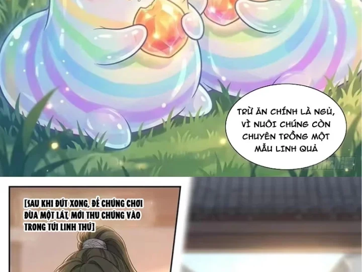 Ta Mở Nông Trường Ở Tiên Giới Chapter 21 - Trang 28