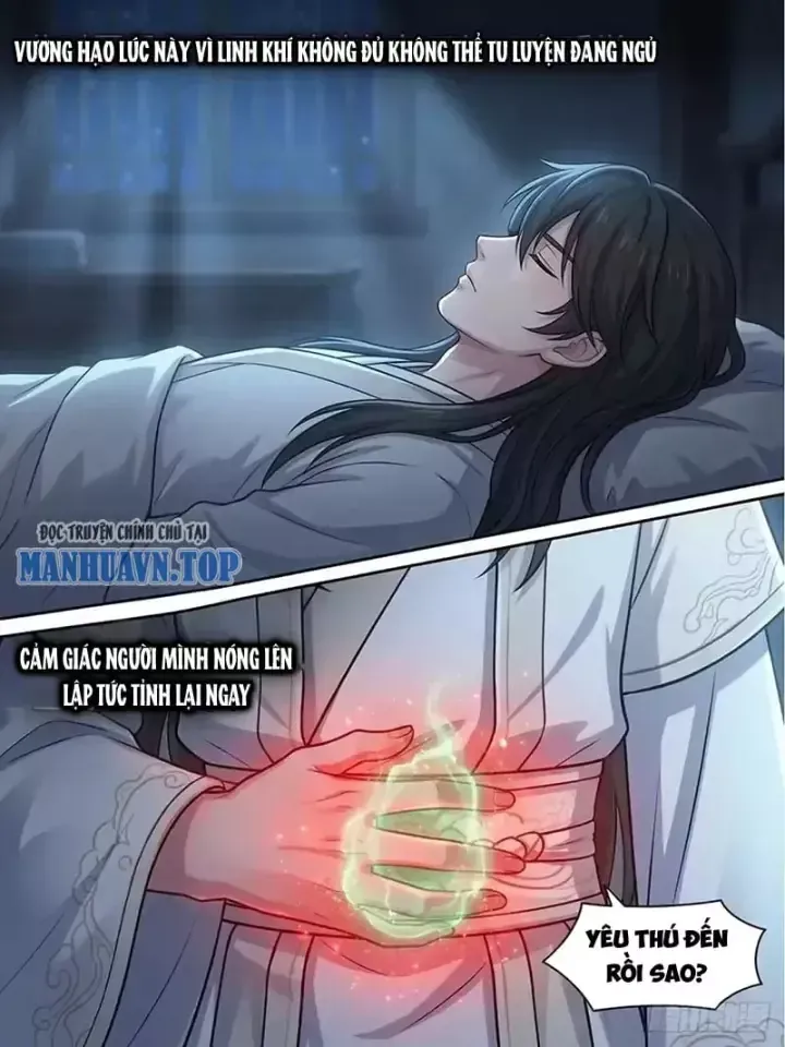 Ta Mở Nông Trường Ở Tiên Giới Chapter 40 - Trang 19