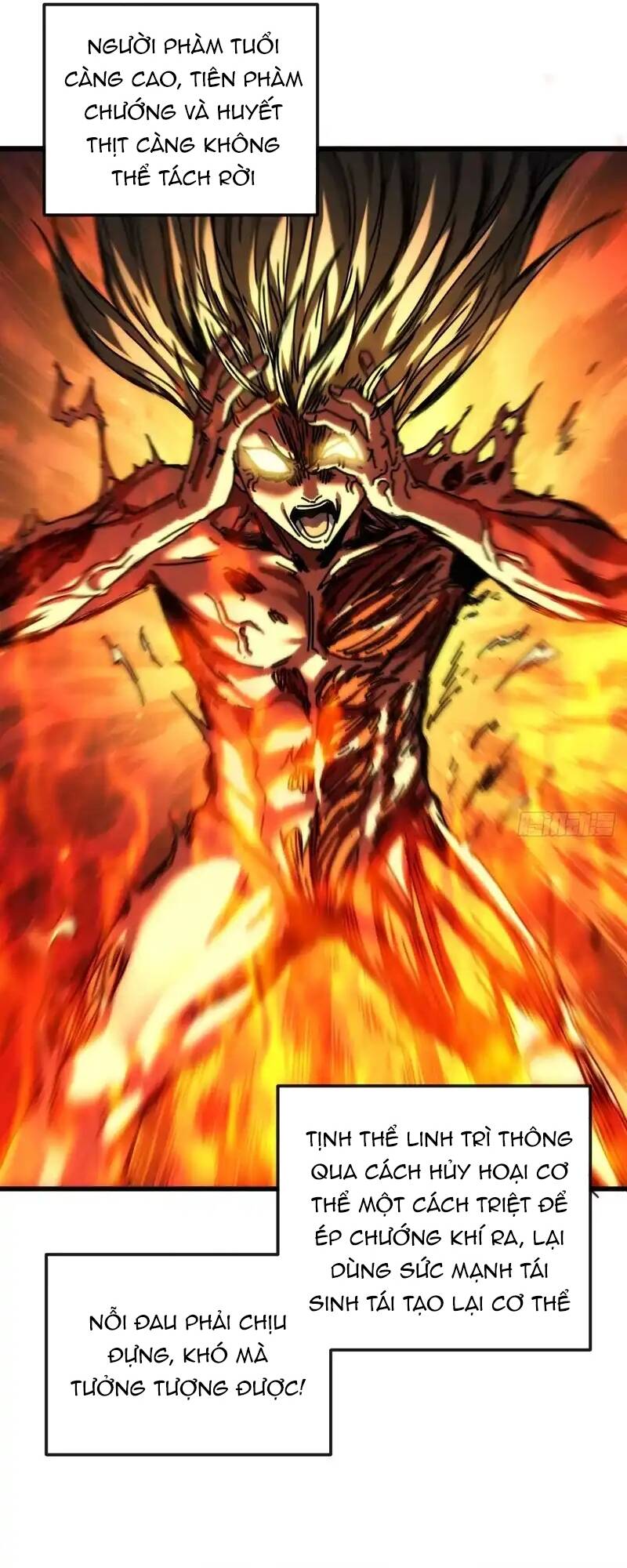 Ta Mô Phỏng Trường Sinh Lộ Chapter 22 - Trang 17