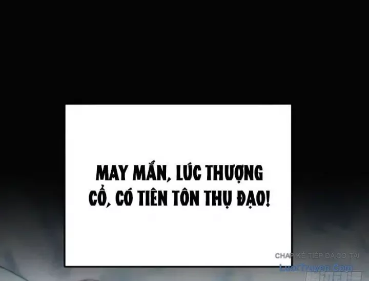 Ta Mô Phỏng Trường Sinh Lộ Chapter 23 - Trang 48