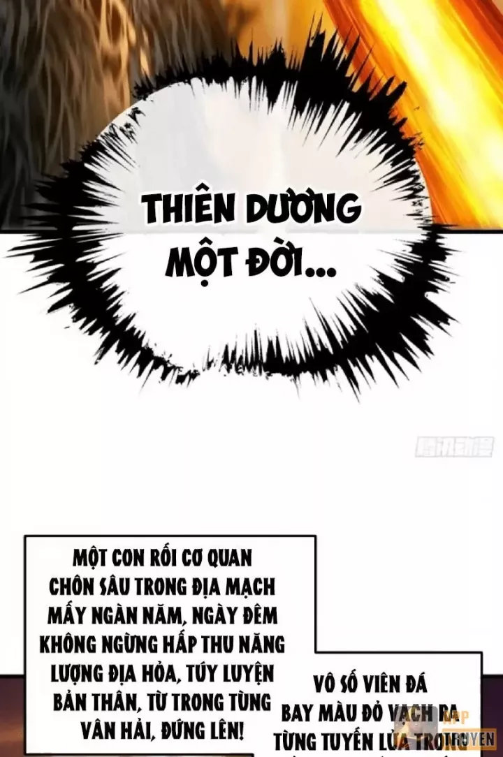Ta Mô Phỏng Trường Sinh Lộ Chapter 55 - Trang 50