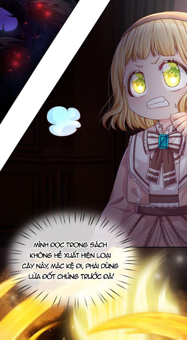 Ta, Nữ Hoàng Edith Chapter 30 - Trang 25