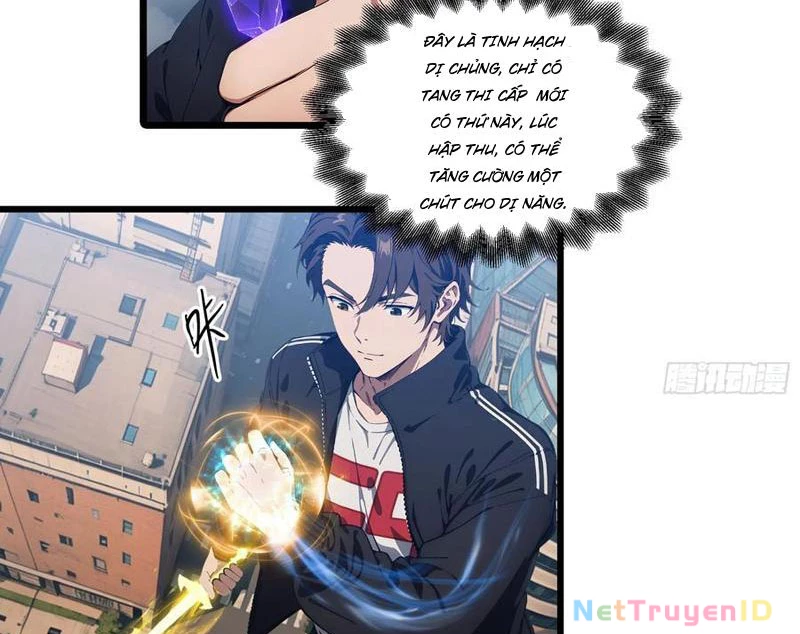 Tà Thần Giáng Thế: Ta có một tòa đại hung ngục Chapter 28 - Trang 13