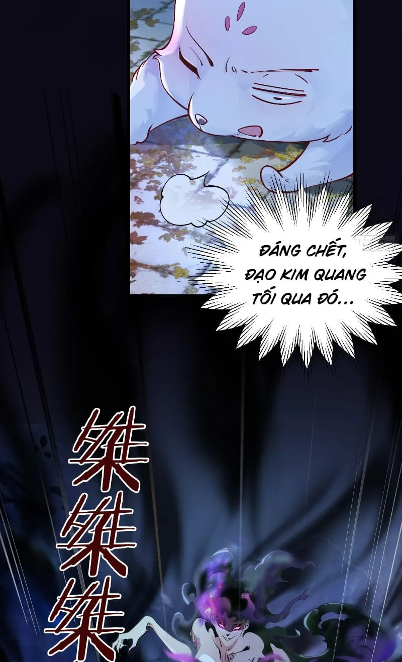 Ta Thật Không Muốn Làm Thần Tiên Chapter 3 - Trang 13
