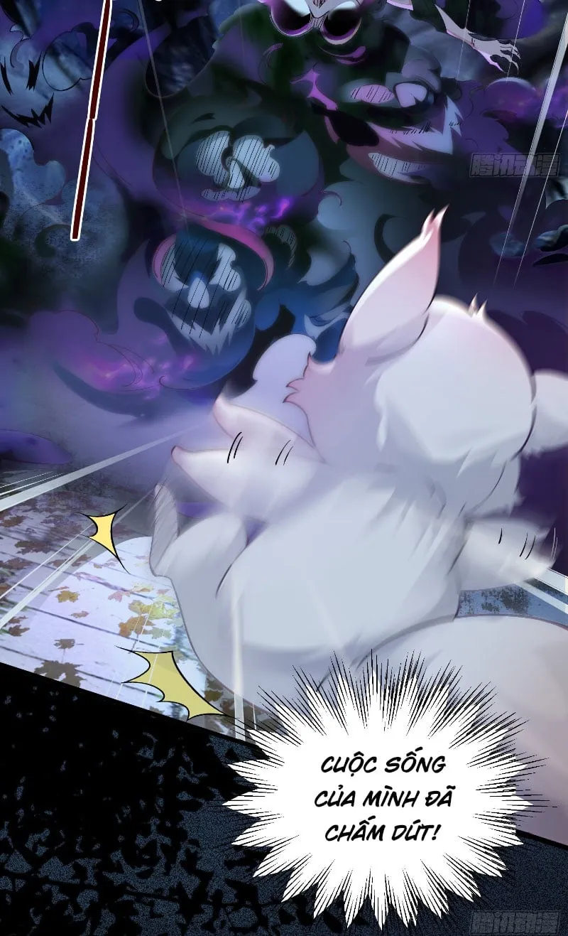 Ta Thật Không Muốn Làm Thần Tiên Chapter 3 - Trang 14