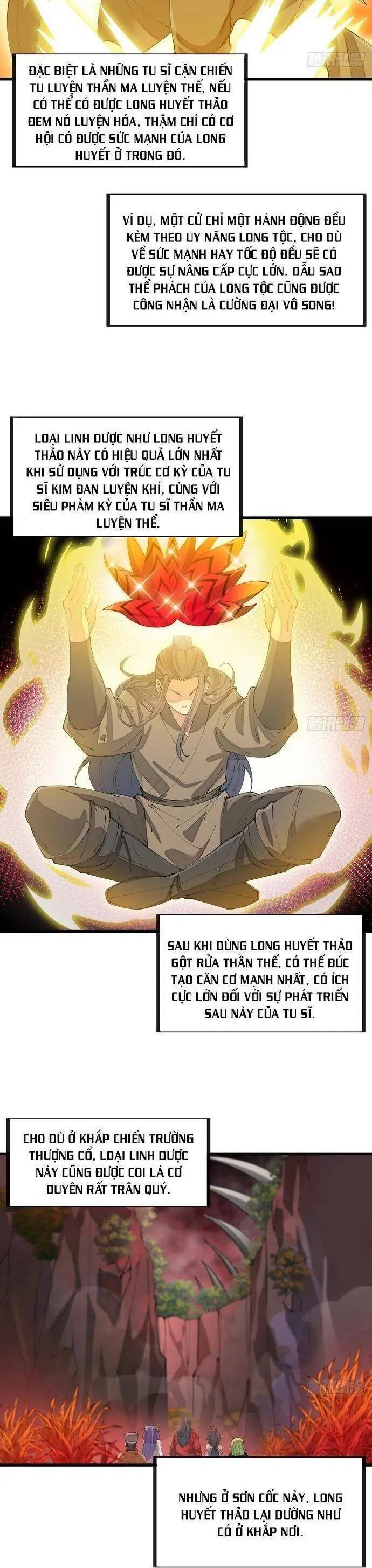 Ta Thật Không Phải Là Khí Vận Chi Tử Chapter 153 - Trang 3
