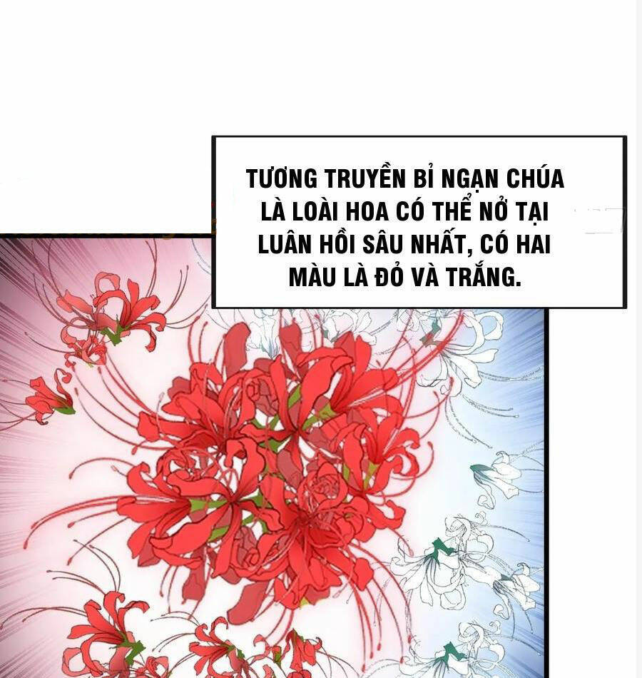 Ta Thật Không Phải Là Khí Vận Chi Tử Chapter 222 - Trang 24