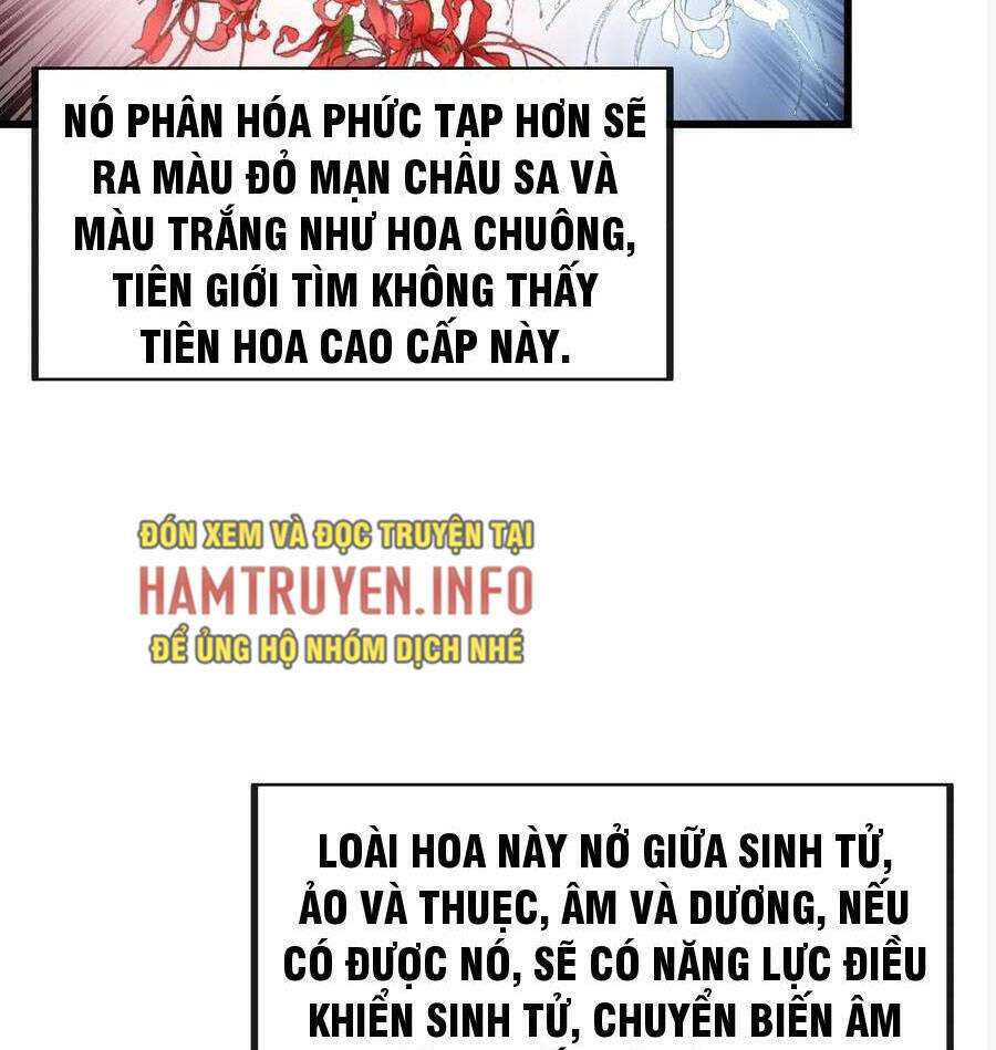Ta Thật Không Phải Là Khí Vận Chi Tử Chapter 222 - Trang 25