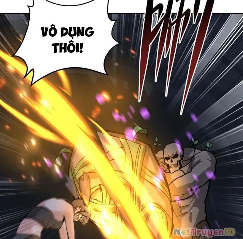 Ta thu thập hậu cung ở dị giới Chapter 63 - Trang 13