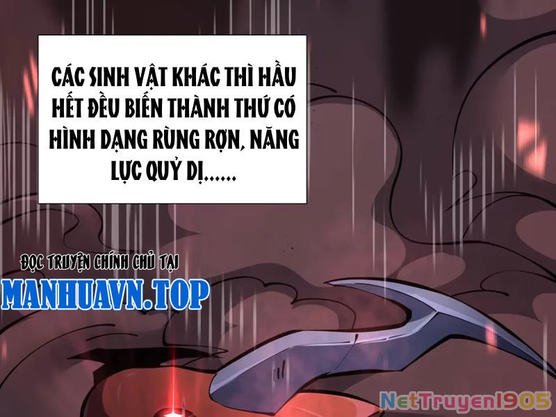 Tai Ách Giáng Lâm: Ta Tiến Hóa Thành Tinh Hồng Chi Vương Chapter 1 - Trang 11