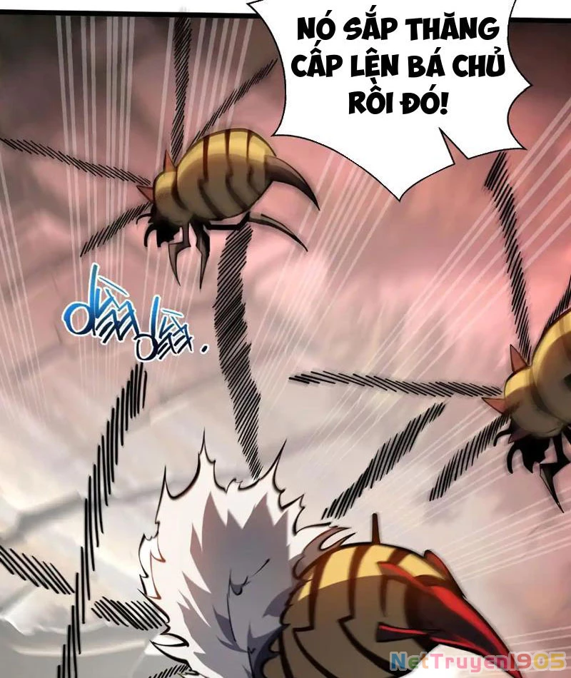 Tai Ách Giáng Lâm: Ta Tiến Hóa Thành Tinh Hồng Chi Vương Chapter 13 - Trang 12