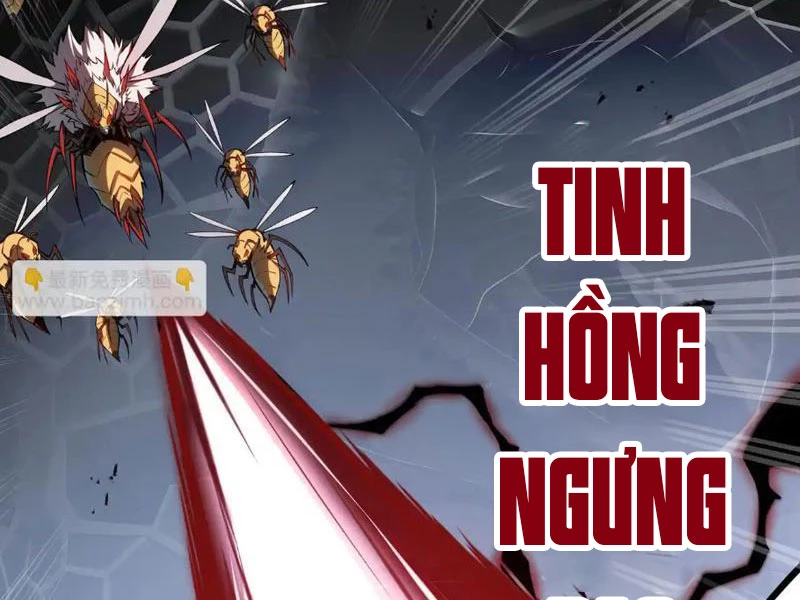 Tai Ách Giáng Lâm: Ta Tiến Hóa Thành Tinh Hồng Chi Vương Chapter 14 - Trang 13