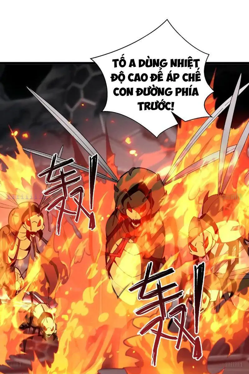 Tai Ách Giáng Lâm: Ta Tiến Hóa Thành Tinh Hồng Chi Vương Chapter 15 - Trang 2