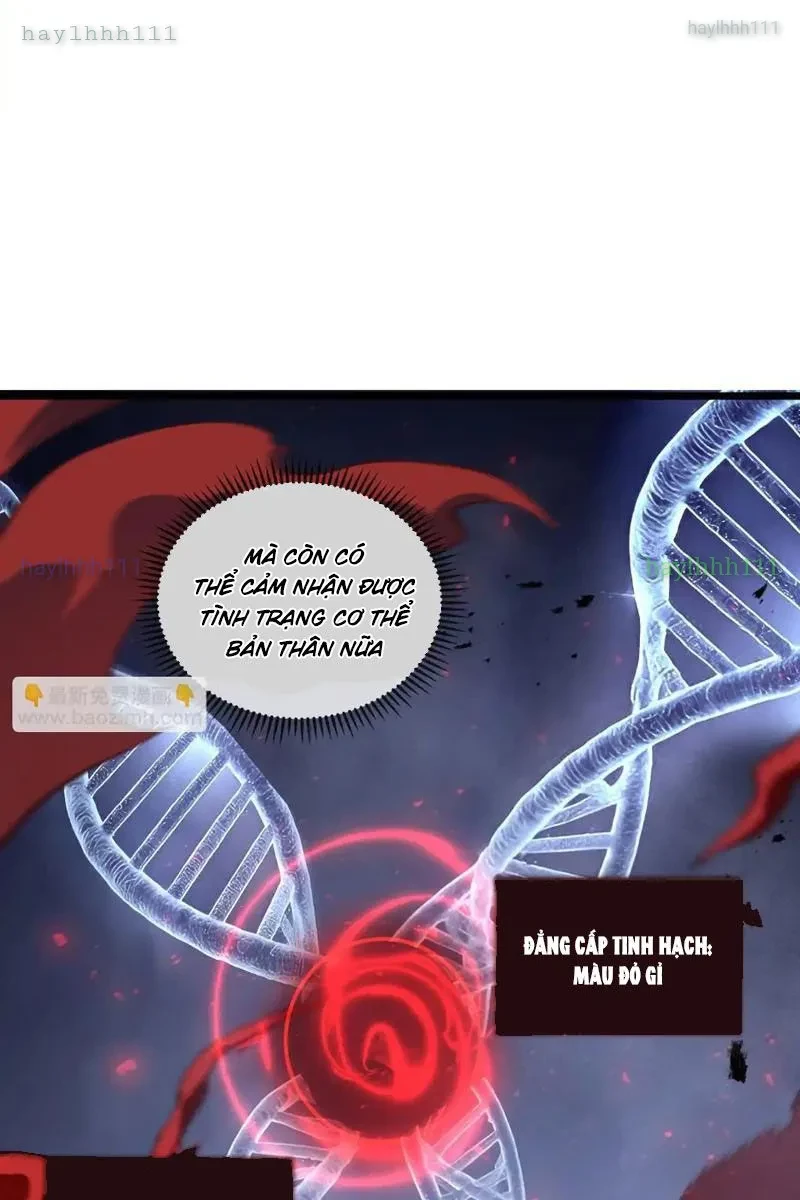 Tai Ách Giáng Lâm: Ta Tiến Hóa Thành Tinh Hồng Chi Vương Chapter 17 - Trang 36