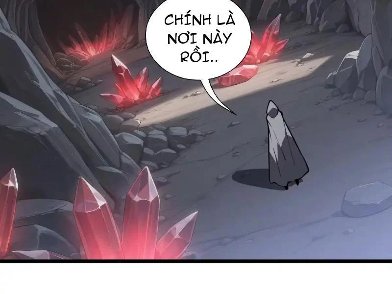 Tai Ách Giáng Lâm: Ta Tiến Hóa Thành Tinh Hồng Chi Vương Chapter 36 - Trang 12