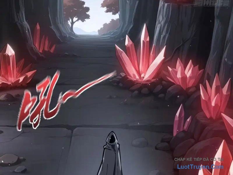 Tai Ách Giáng Lâm: Ta Tiến Hóa Thành Tinh Hồng Chi Vương Chapter 36 - Trang 24