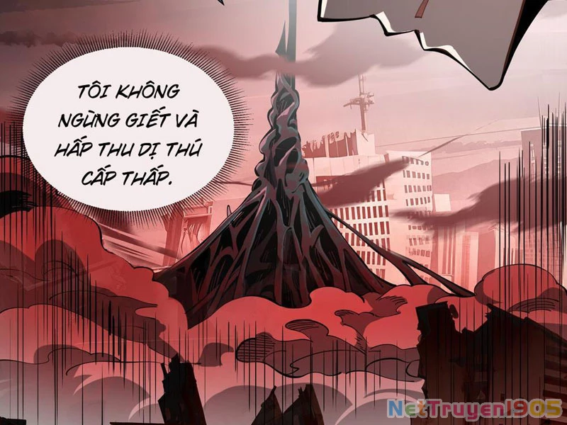 Tai Ách Giáng Lâm: Ta Tiến Hóa Thành Tinh Hồng Chi Vương Chapter 4 - Trang 48
