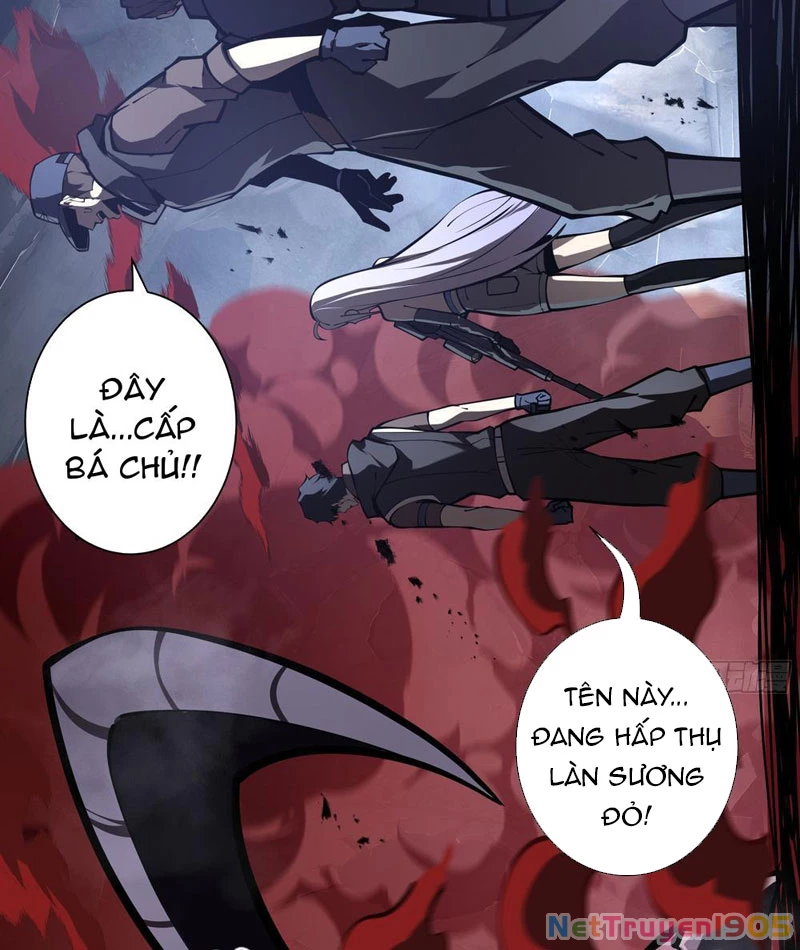 Tai Ách Giáng Lâm: Ta Tiến Hóa Thành Tinh Hồng Chi Vương Chapter 5 - Trang 14