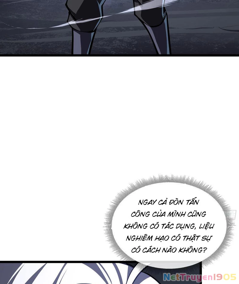 Tai Ách Giáng Lâm: Ta Tiến Hóa Thành Tinh Hồng Chi Vương Chapter 5 - Trang 37