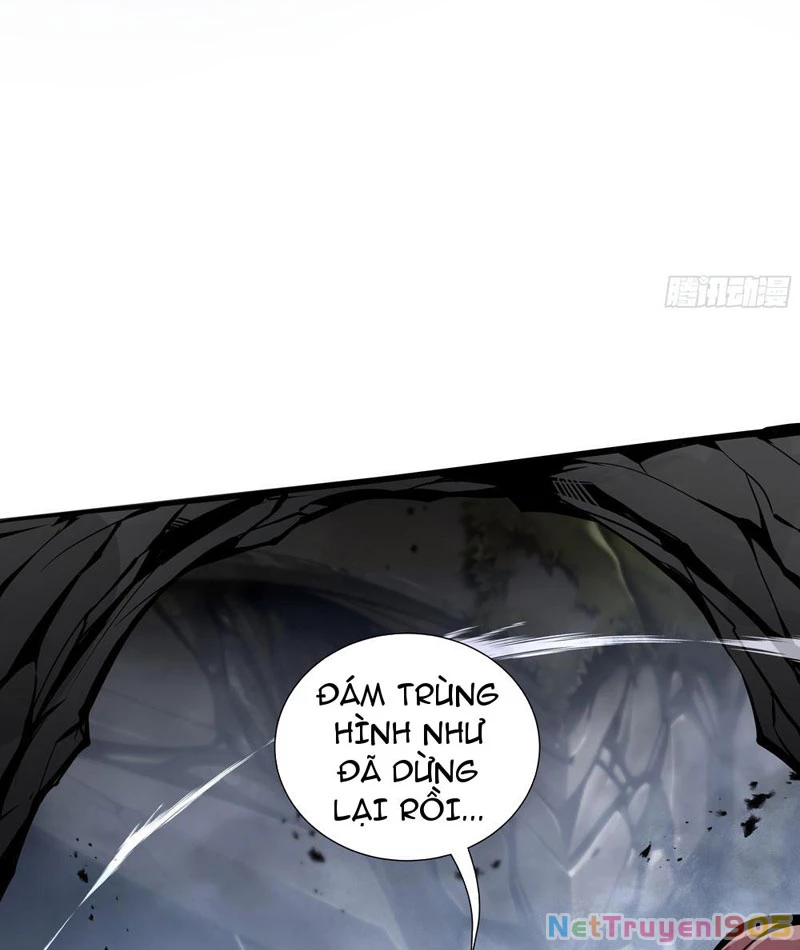Tai Ách Giáng Lâm: Ta Tiến Hóa Thành Tinh Hồng Chi Vương Chapter 5 - Trang 9