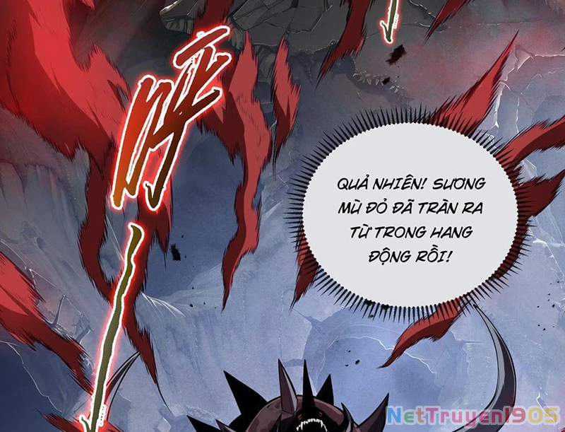 Tai Ách Giáng Lâm: Ta Tiến Hóa Thành Tinh Hồng Chi Vương Chapter 6 - Trang 20