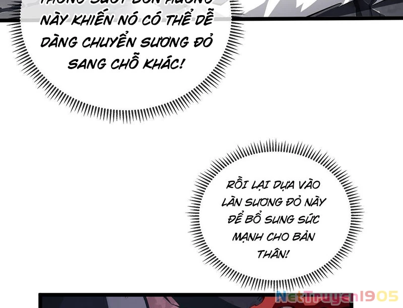 Tai Ách Giáng Lâm: Ta Tiến Hóa Thành Tinh Hồng Chi Vương Chapter 6 - Trang 22