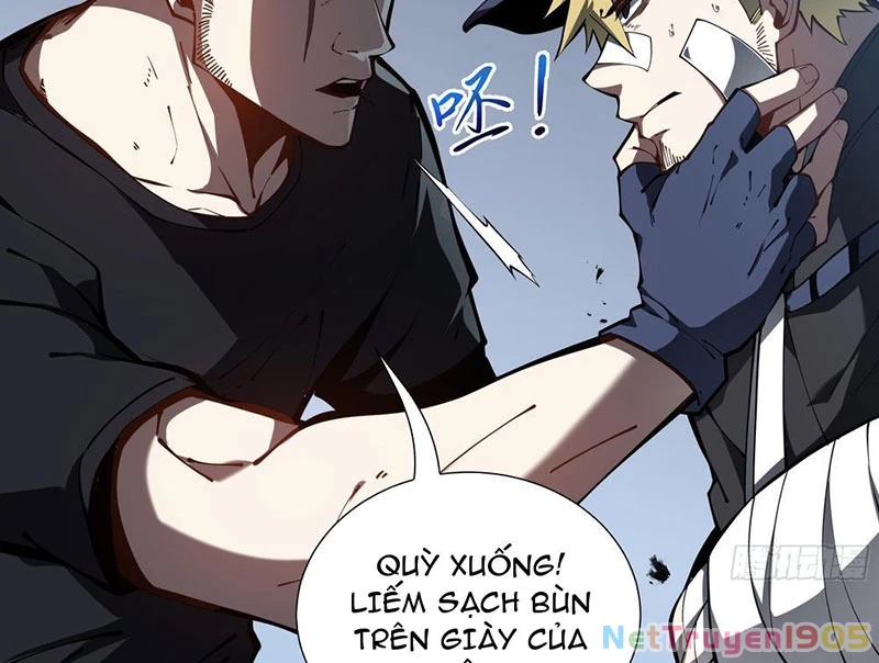 Tai Ách Giáng Lâm: Ta Tiến Hóa Thành Tinh Hồng Chi Vương Chapter 8 - Trang 35