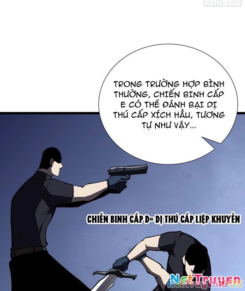 Tai Ách Giáng Lâm: Ta Tiến Hóa Thành Tinh Hồng Chi Vương Chapter 9 - Trang 26