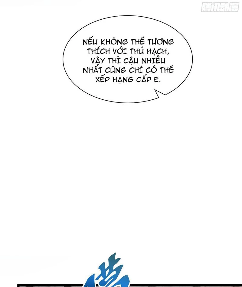 Tai Ách Giáng Lâm: Ta Tiến Hóa Thành Tinh Hồng Chi Vương Chapter 9 - Trang 35