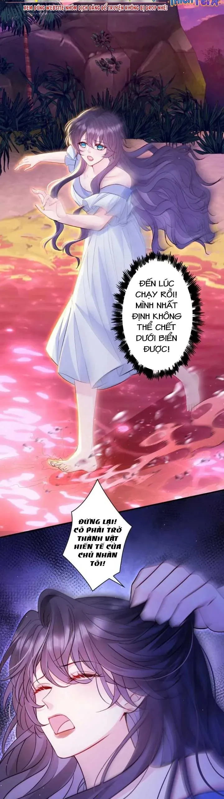 Tái Ngộ Lời Hứa Mùa Hạ Năm Xưa Chapter 13 - Trang 16