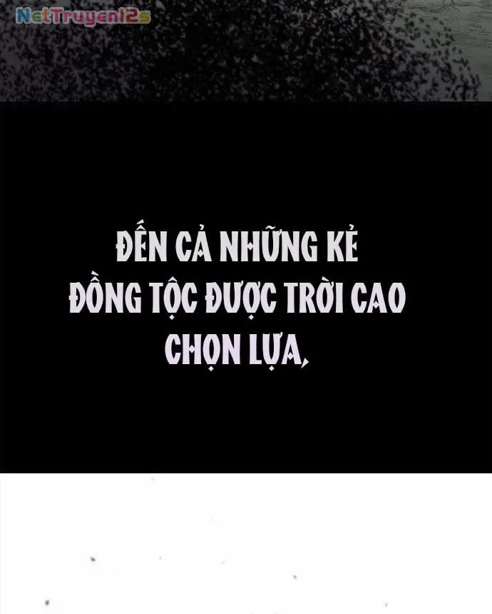 Tái Sinh Thành Tam Thiếu Gia Nhà Đại Công Tước Chapter 43 - Trang 12
