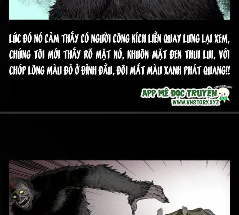 Tam Lão Gia Kinh Kỳ Thủ Trát Chapter 10 - Trang 48