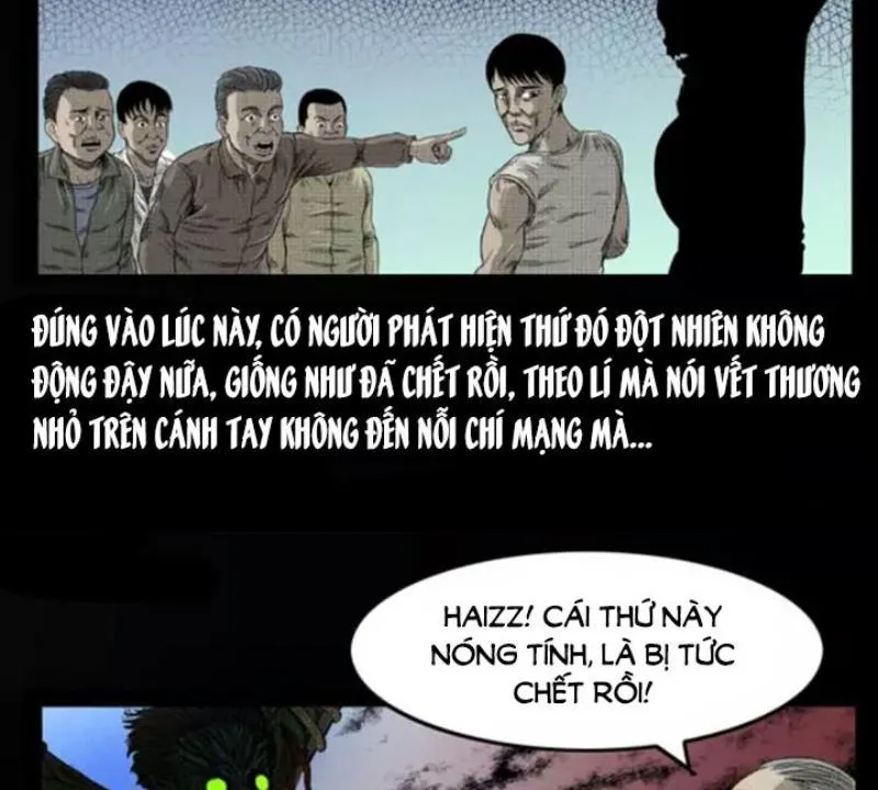 Tam Lão Gia Kinh Kỳ Thủ Trát Chapter 13 - Trang 39