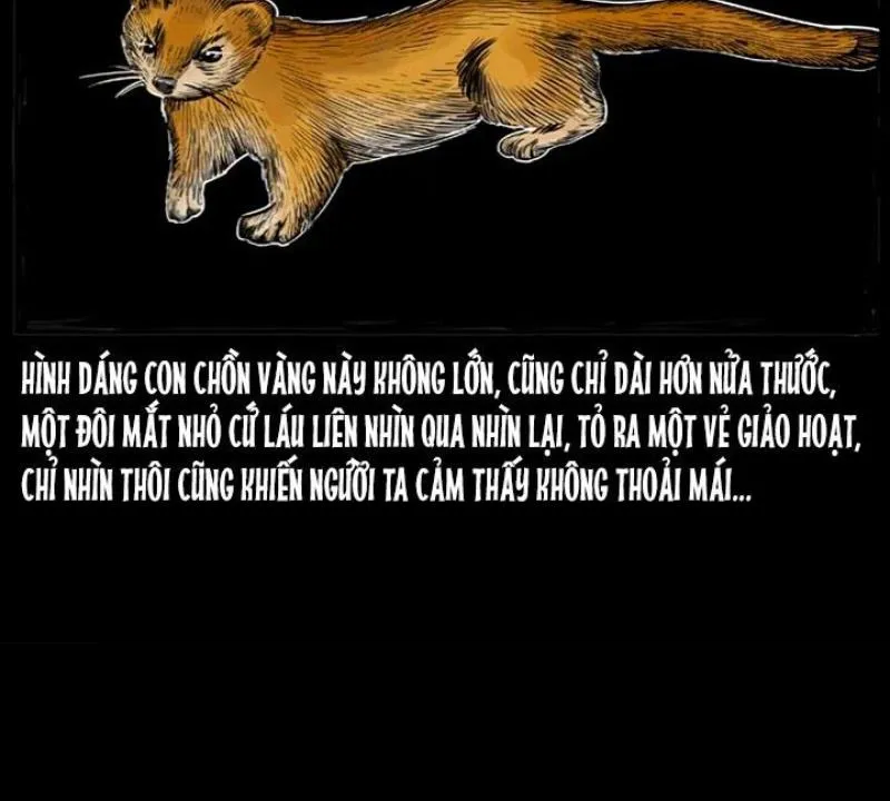 Tam Lão Gia Kinh Kỳ Thủ Trát Chapter 22 - Trang 27