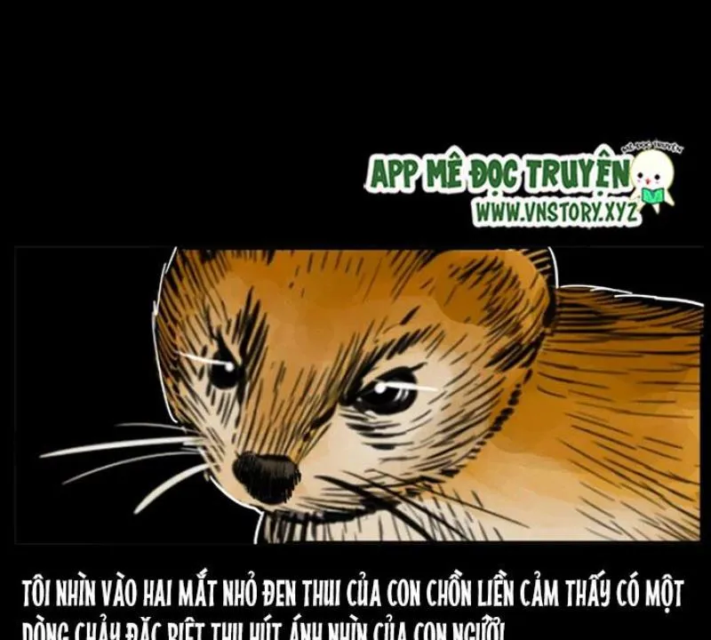Tam Lão Gia Kinh Kỳ Thủ Trát Chapter 22 - Trang 29