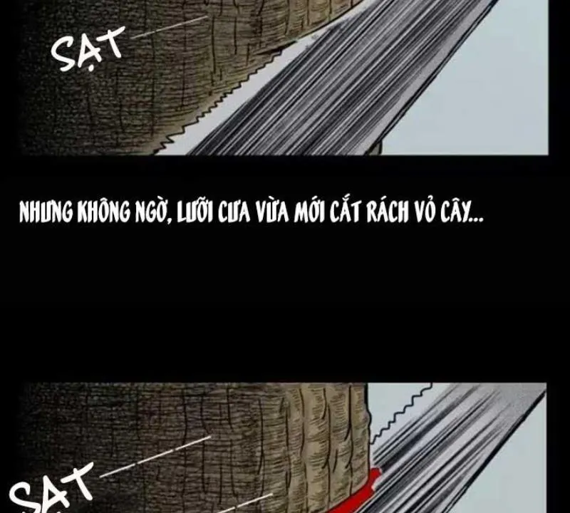 Tam Lão Gia Kinh Kỳ Thủ Trát Chapter 29 - Trang 30