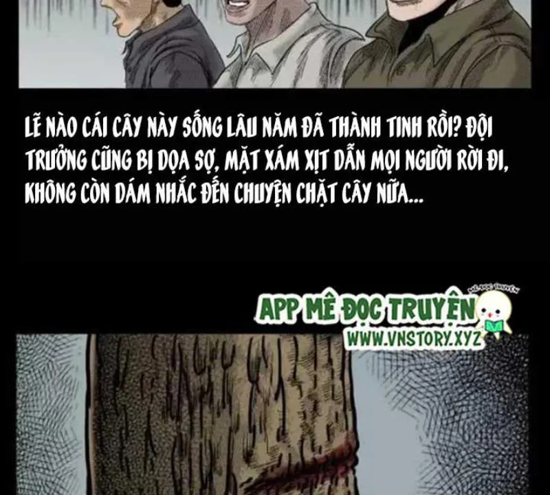 Tam Lão Gia Kinh Kỳ Thủ Trát Chapter 29 - Trang 34