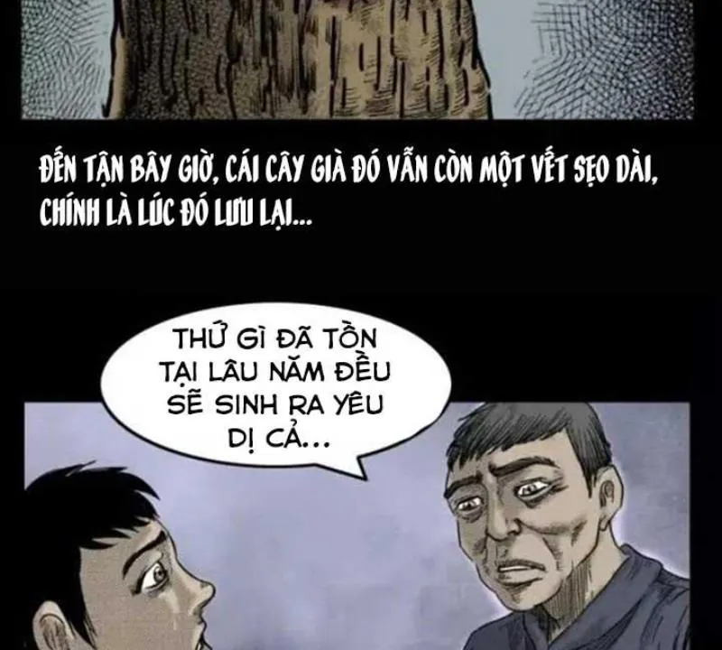 Tam Lão Gia Kinh Kỳ Thủ Trát Chapter 29 - Trang 35