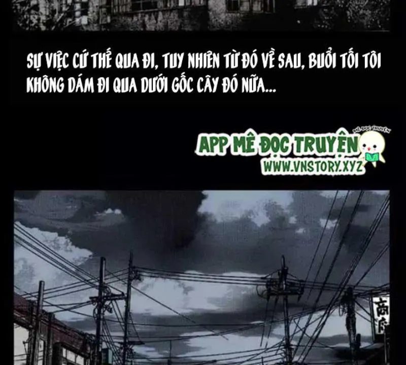 Tam Lão Gia Kinh Kỳ Thủ Trát Chapter 29 - Trang 37