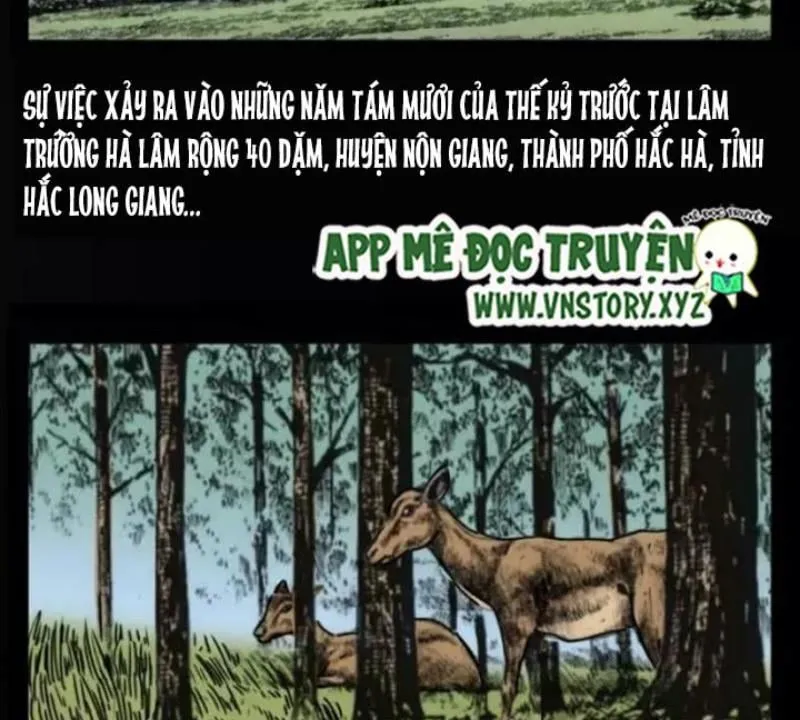 Tam Lão Gia Kinh Kỳ Thủ Trát Chapter 33 - Trang 5