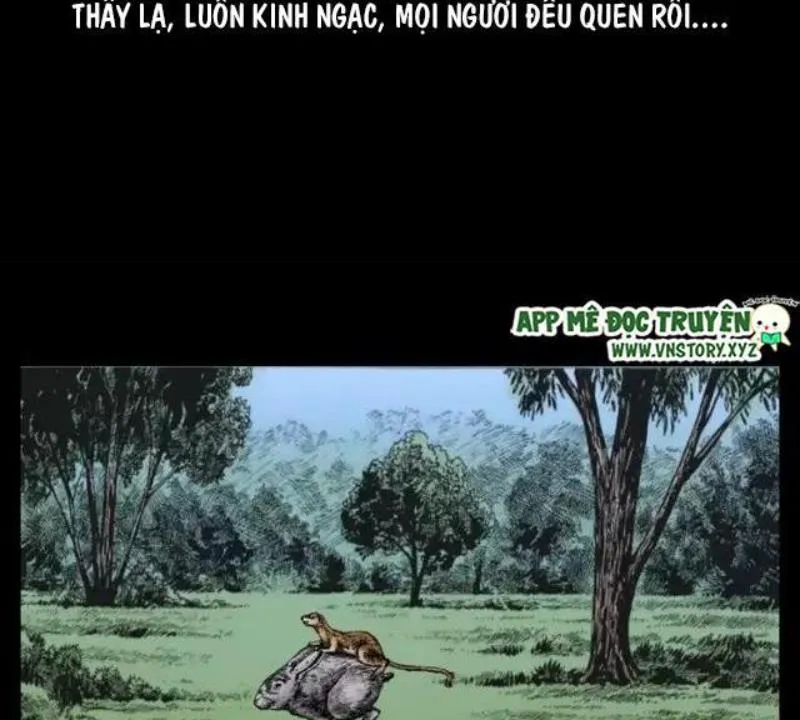 Tam Lão Gia Kinh Kỳ Thủ Trát Chapter 45 - Trang 14