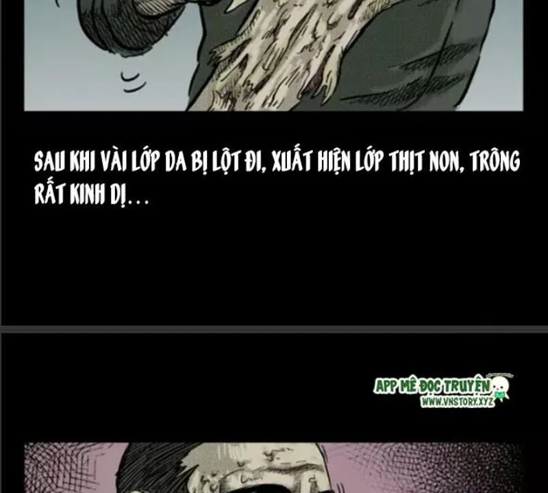 Tam Lão Gia Kinh Kỳ Thủ Trát Chapter 5 - Trang 49